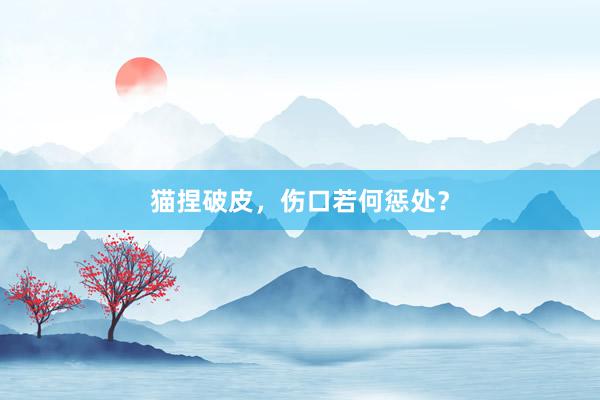 猫捏破皮，伤口若何惩处？