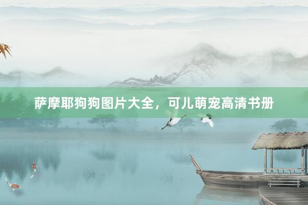萨摩耶狗狗图片大全,可儿萌宠高清书册